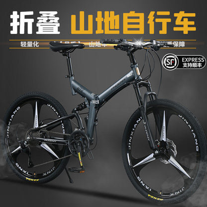 Phoenix دراجة شركة