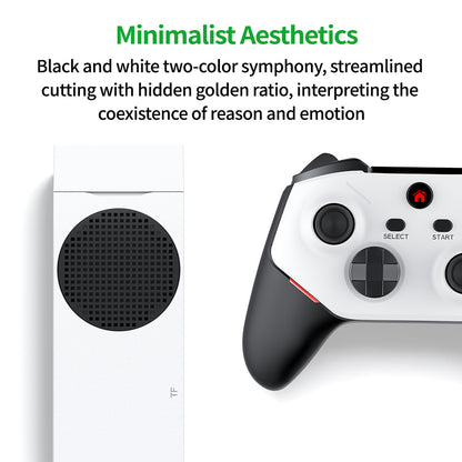 VIDEO GAME CONSOLE