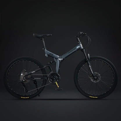 Phoenix دراجة شركة