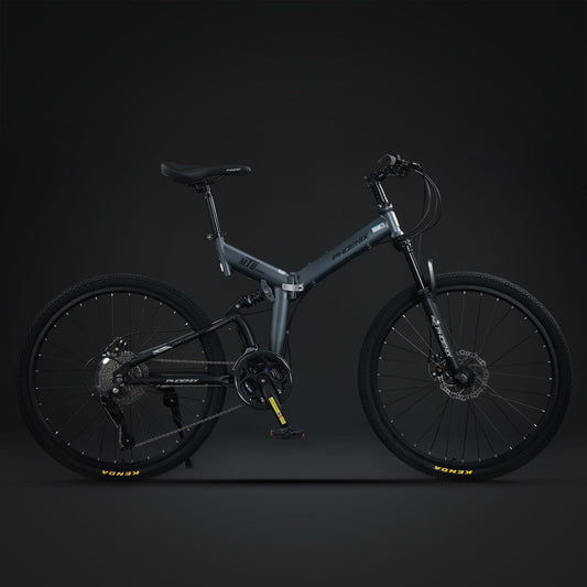 Phoenix دراجة شركة