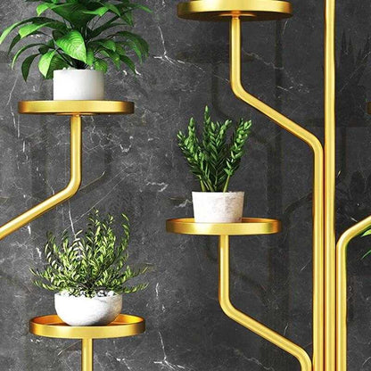 رف نبات فاخر⭐